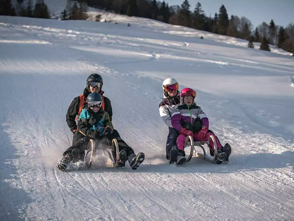 Familie mit 2 Kindern beim Rodeln